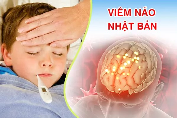 Hà Nội ghi nhận ca viêm não Nhật Bản đầu tiên trong năm 2024