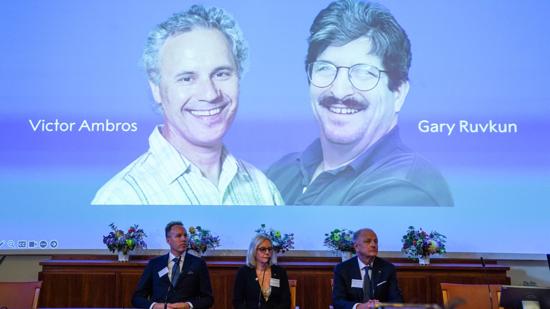 Giải Nobel Y sinh 2024 vinh danh phát minh RNA siêu nhỏ