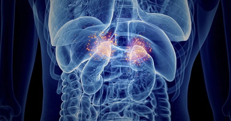 Dùng thuốc gia truyền tăng cân , trẻ suy tuyến thượng thận