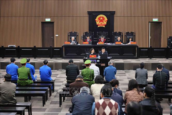 Vụ Sài Gòn Đại Ninh Sai phạm vụ án “tiếp tay” cho 4 vụ phá 3 522 m2 rừng