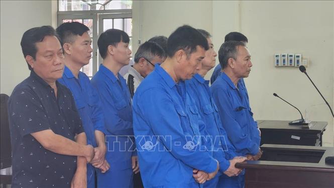 Tuyên án 14 bị cáo lừa đảo, chiếm đoạt tiền của nhà nước