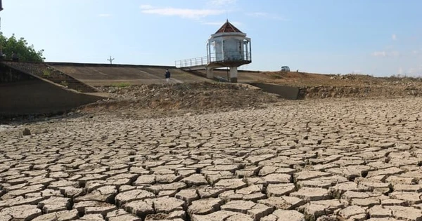 Người dân cần cảnh giác dịch bệnh khi hạn mặn đến sớm