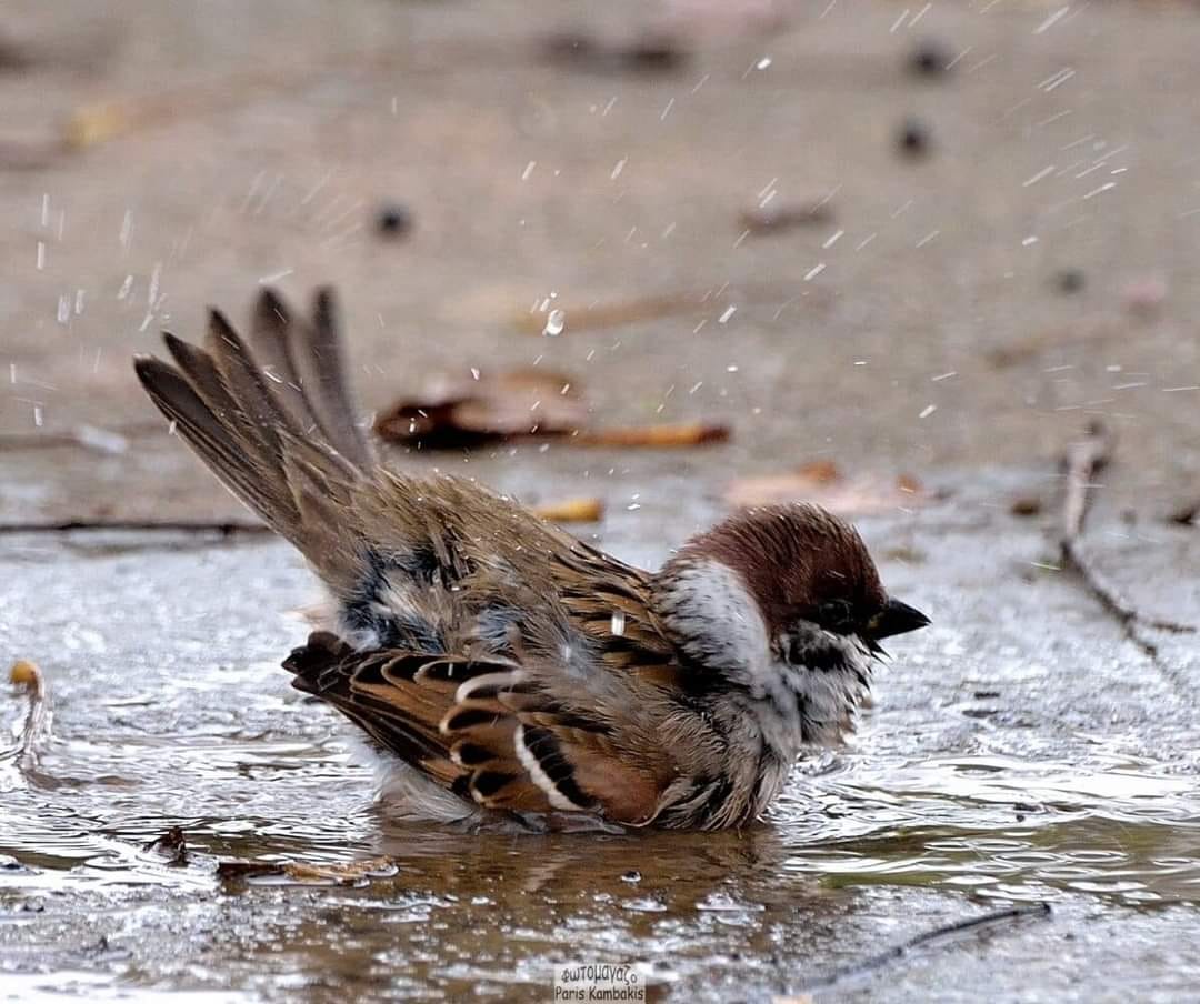 Ảnh đại diện tin bài