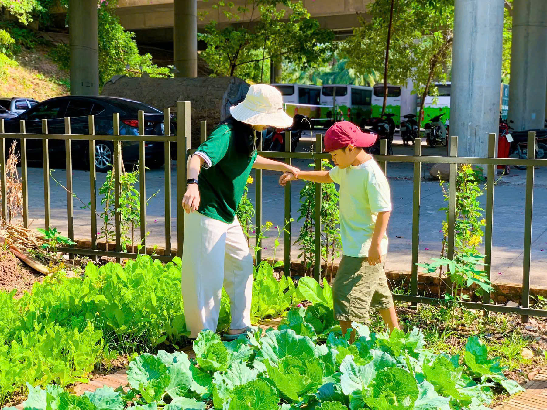 Một giấc mơ… đang nở hoa giữa lòng Ecopark