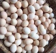Thực hư thông tin trứng gà giả khiến người tiêu dùng lo lắng