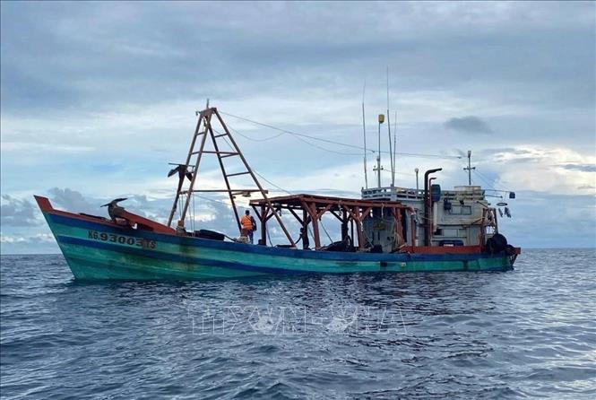 Cao điểm chống buôn lậu Liên tục phát hiện, bắt giữ tàu cá vận chuyển trái phép dầu Diesel trên biển
