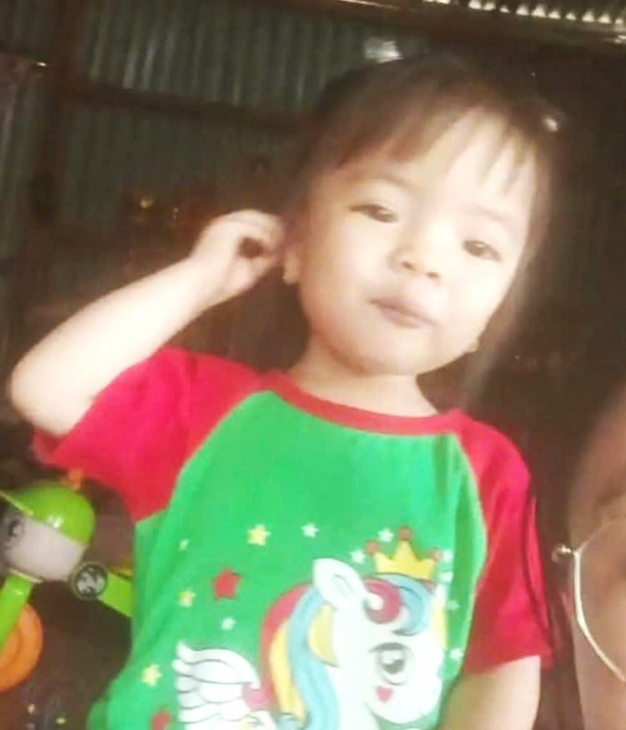 Nỗ lực tìm kiếm bé gái 2 tuổi mất tích bí ẩn ở Lâm Đồng