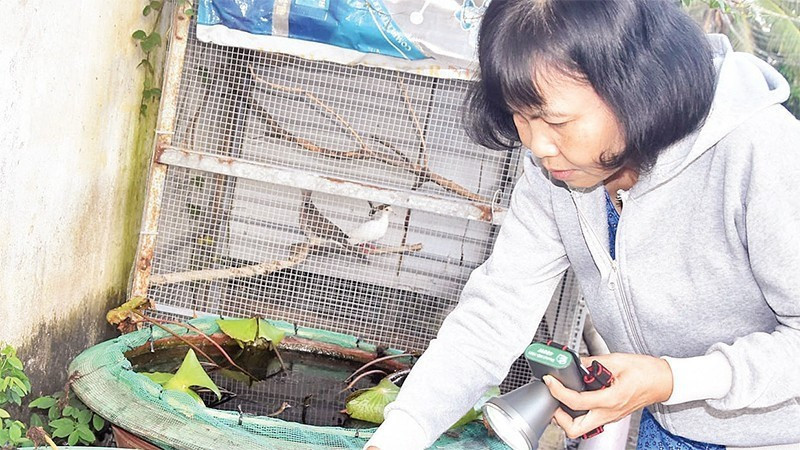 Tuần qua, số ca mắc sốt xuất huyết ở Hà Nội tăng gấp đôi