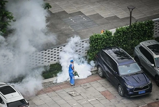 Việt Nam đứng trước nguy cơ xâm nhập bệnh Chikungunya