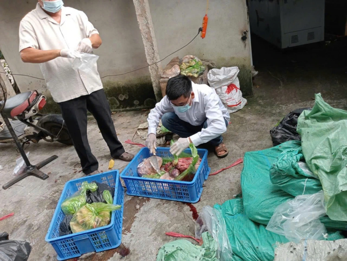 Hưng Yên Khởi tố 2 đối tượng mua lợn bệnh, lợn chết trà trộn bán ra thị trường