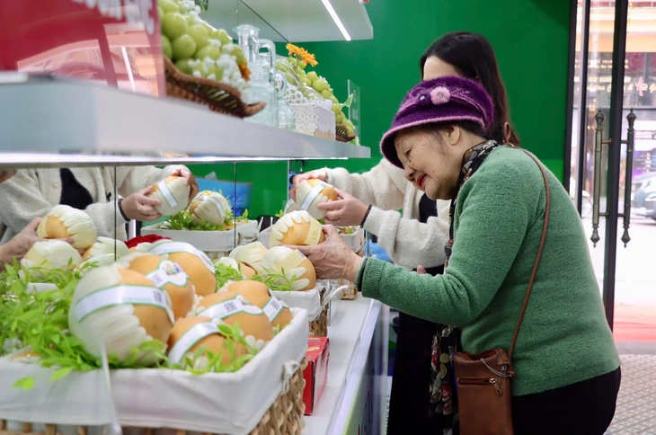 Từ nho sữa, lê Hàn Quốc đến máy ảnh Canon, xe máy Honda đều có hàng giả