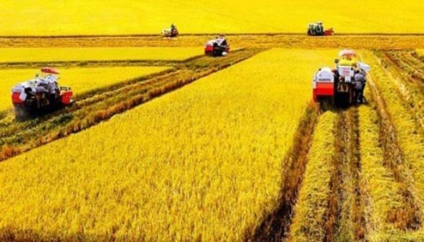 Những chính sách mới có hiệu lực ngay từ tháng đầu tiên của năm mới