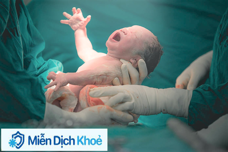 Chăm sóc sức khỏe, tăng cường miễn dịch cho trẻ sinh mổ