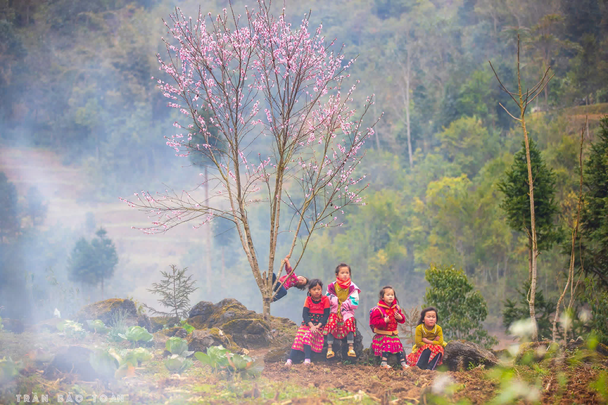 Xuân Ươm mầm Nhân ái