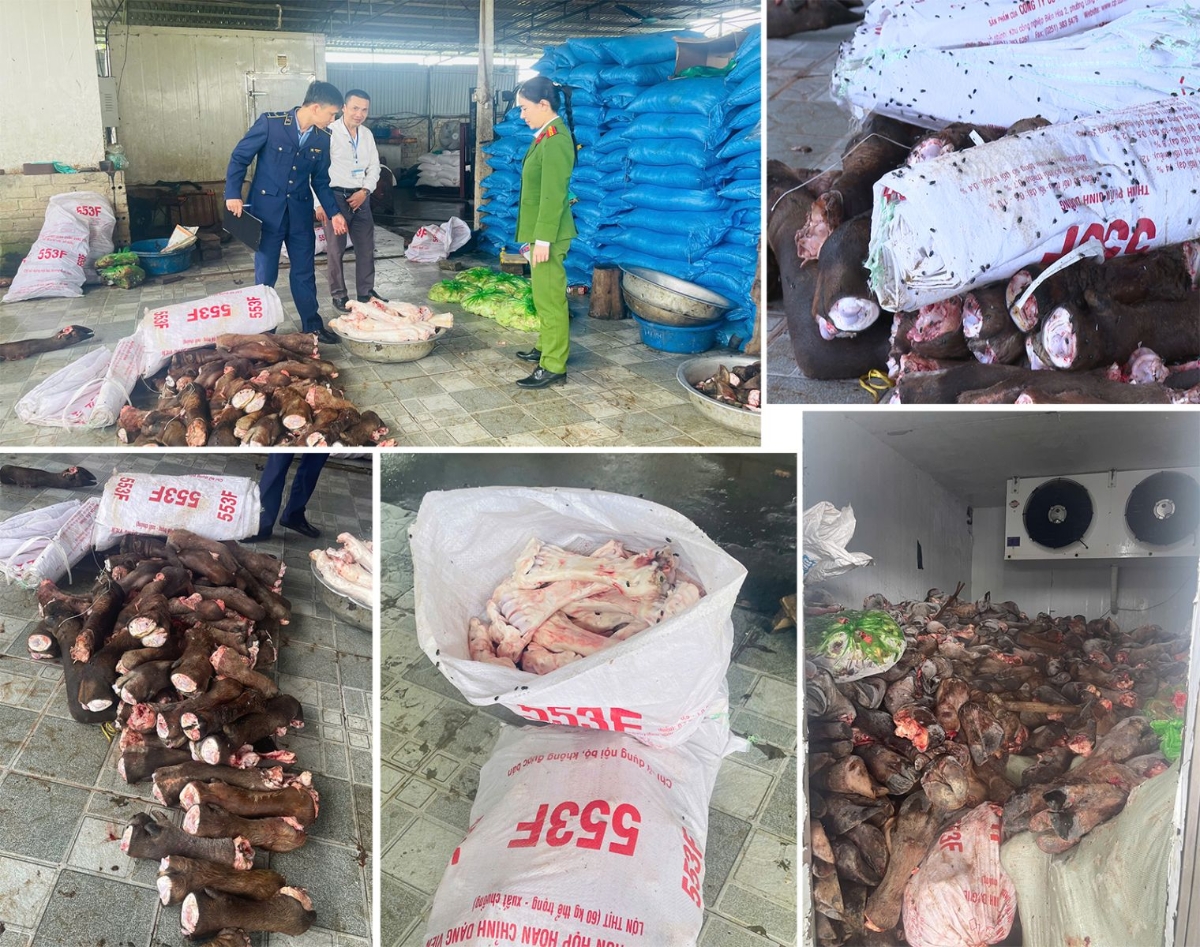 Thanh Hóa Đột kích 2 kho lạnh, phát hiện gần 6 tấn thực phẩm trôi nổi