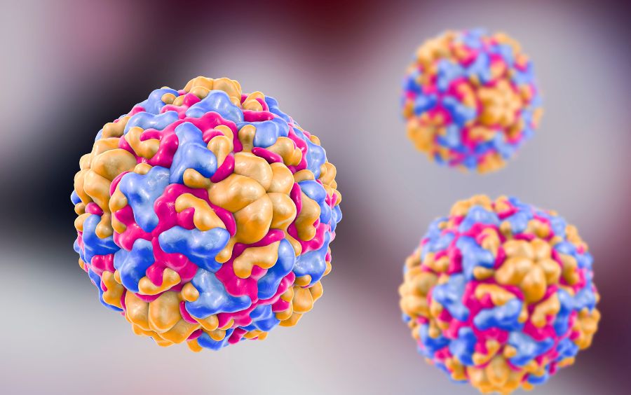 Hà Nội ghi nhận 780 ca tay chân miệng