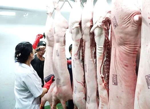 Thủ tướng chỉ đạo Khẩn trương chấn chỉnh công tác kiểm tra, kiểm soát các cơ sở giết mổ, kinh doanh tiêu thụ thực phẩm, xử lý nghiêm vi phạm