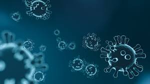 Australia phát hiện virus bại liệt trong nước thải sau hơn nửa thế kỷ