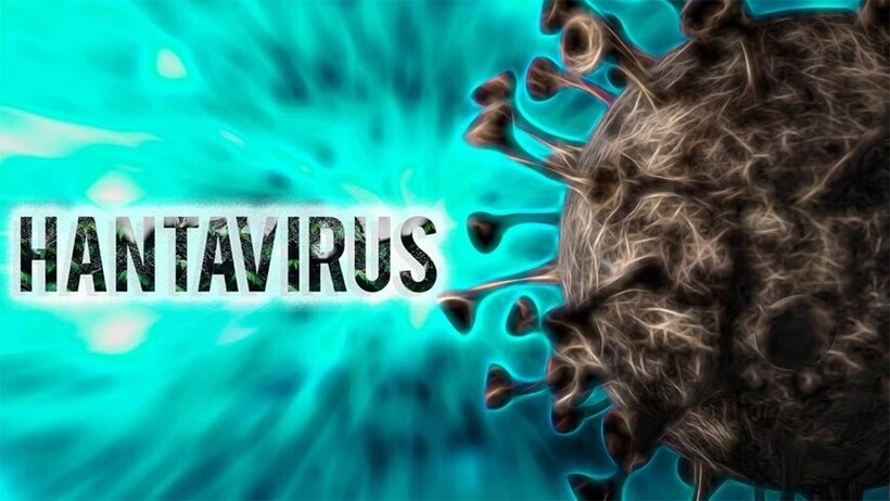Bộ Y tế thông tin chính thức về bệnh do virus hanta