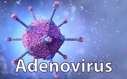 Cảnh báo nguy cơ biến chứng nặng từ virus Adenovirus ở trẻ em