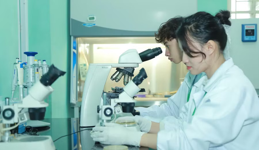 Học bổng ngành chiến lược Cơ hội cho thí sinh xuất sắc