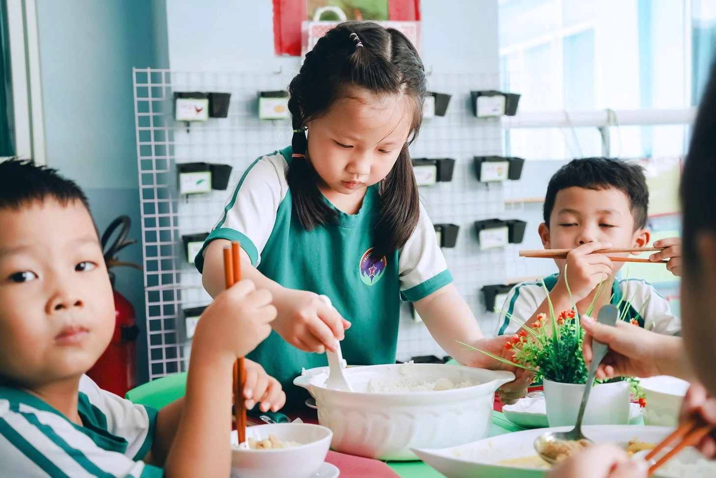 Trẻ mầm non bán trú được hưởng những khoản hỗ trợ nào