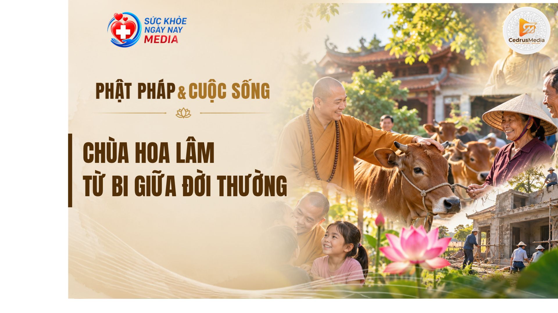Chùa Hoa Lâm lan tỏa lòng từ bi qua những hoạt động thiện nguyện vì cộng đồng