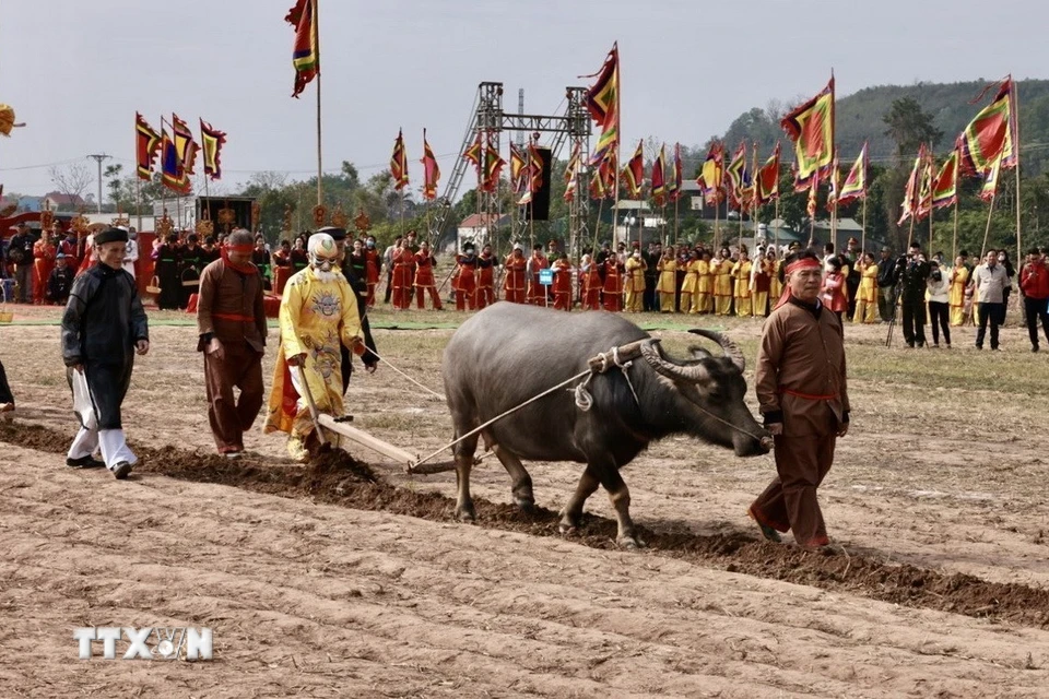 Exciting ploughing festival 2025 in Ha Nam