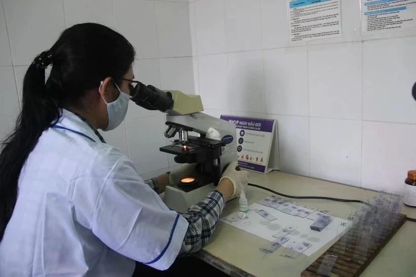 Malaria cases in Vietnam down 20 in 2024