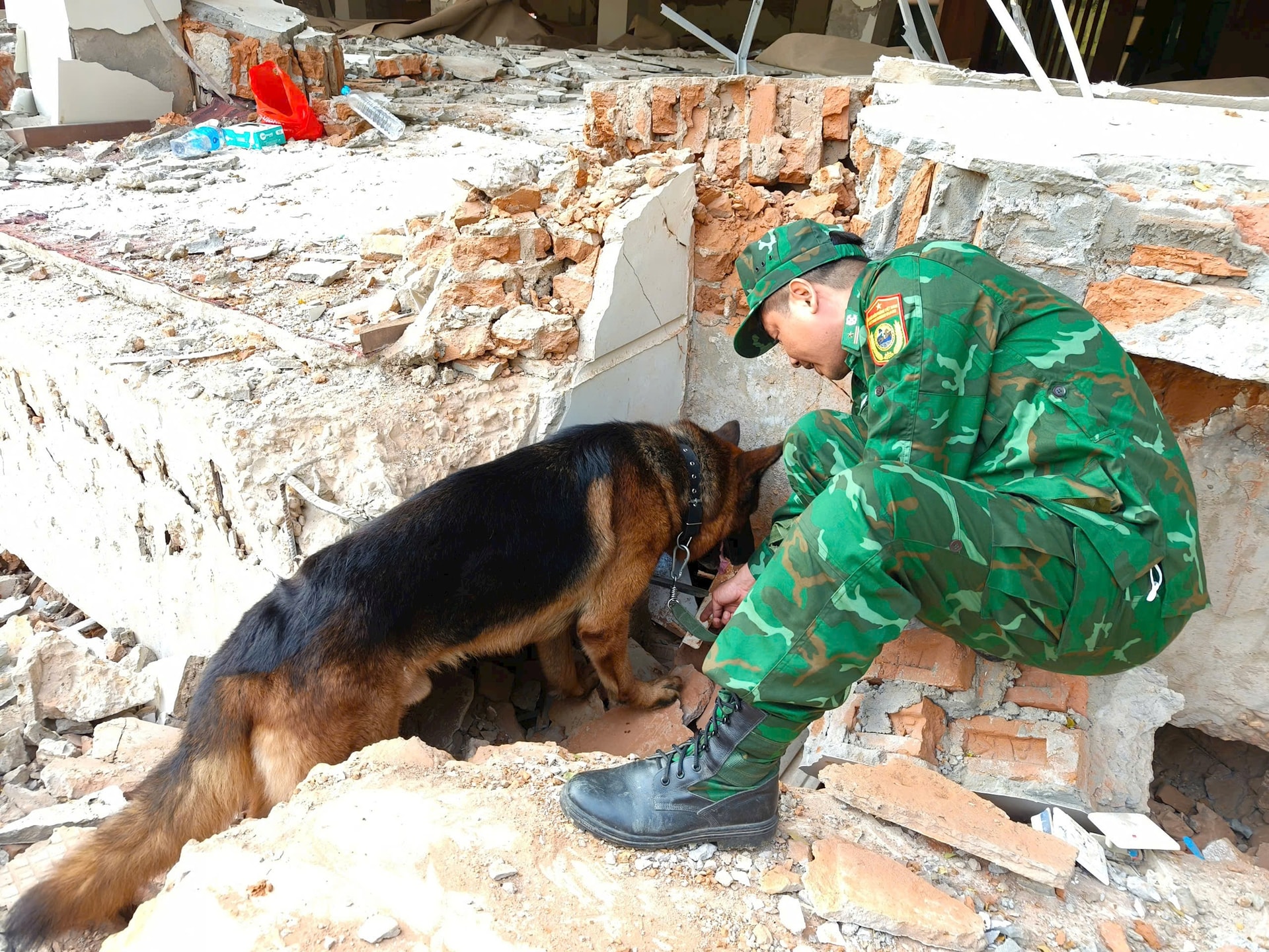 Vietnamese, Myanmar, UAE teams recover three quake victims in Myanmar