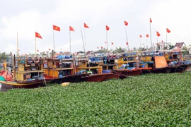 Da Nang restructures fishing fleet to protect coastal fisheries