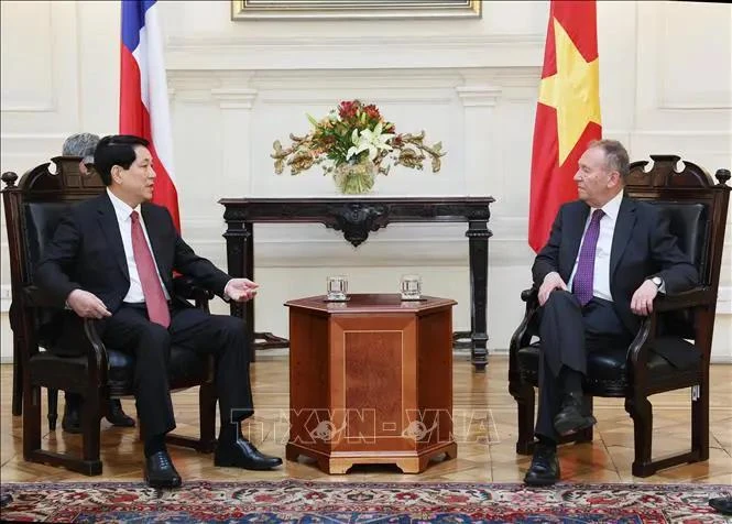 State President Luong Cuong (left) and President of the Chilean Senate José Garcia Ruminot (Photo: VNA)